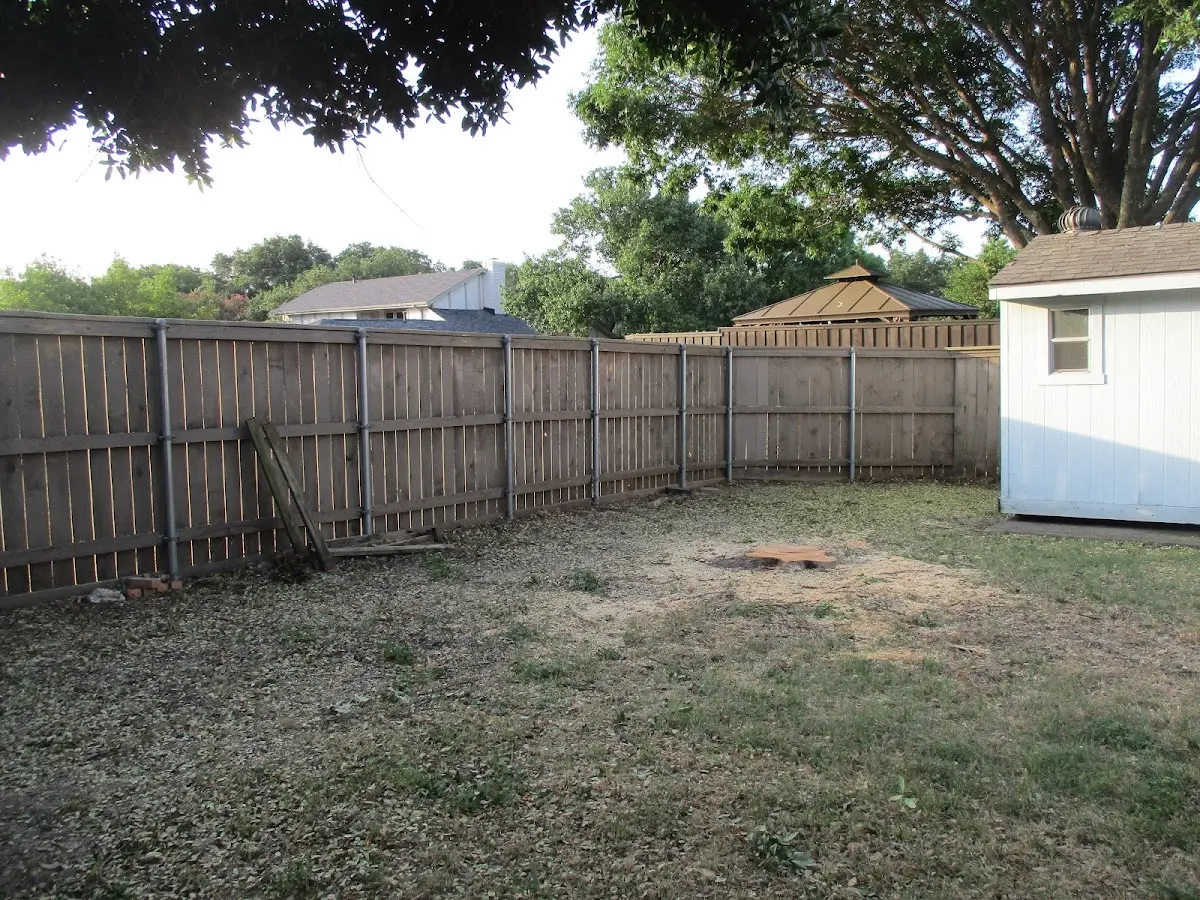 Cleared yard after professional tree removal in Eden Prairie