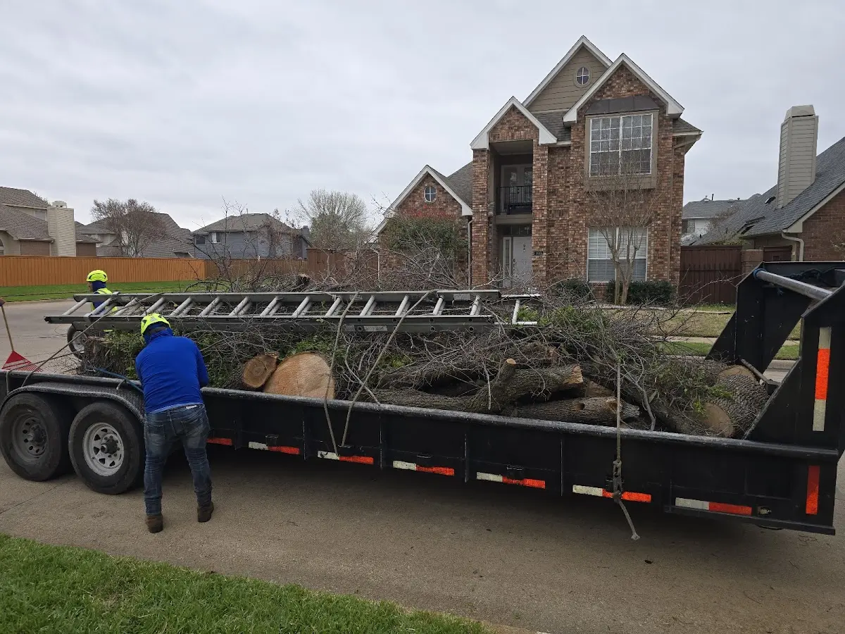 Expert Tree Fertilization with proper safety equipment in Eden Prairie
